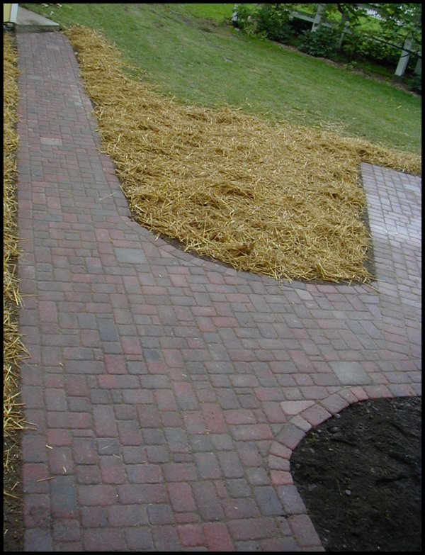 Landscaping Job